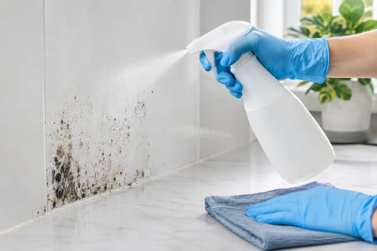 Does Hypochlorous Acid Kill Mold at Home?
