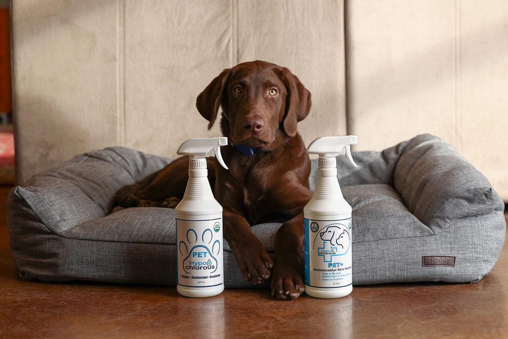 The Power of Hypochlorous for Pets: Odor Control, Skin Health, and Quick Baths