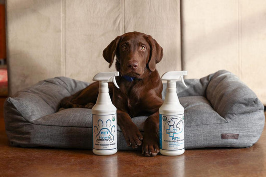 The Power of Hypochlorous for Pets: Odor Control, Skin Health, and Quick Baths
