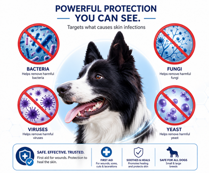 All-Purpose Canine Skin & Wound Care WASH, FDA Cleared